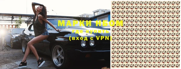 ешки Новодвинск