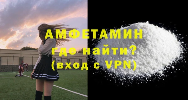 ешки Новодвинск